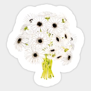 white gerbera flowers ink and watercolor Sticker